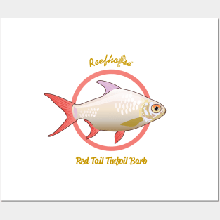 Red Tail Tinfoil Barb Posters and Art